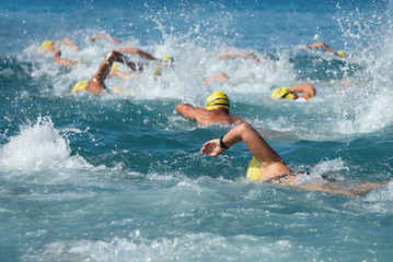  Swimming athletes in a triathlon contest - obrazy, fototapety, plakaty