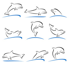 Obraz premium Dolphins set. Vector