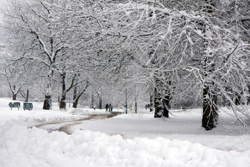 Winter scene in East Grinstead