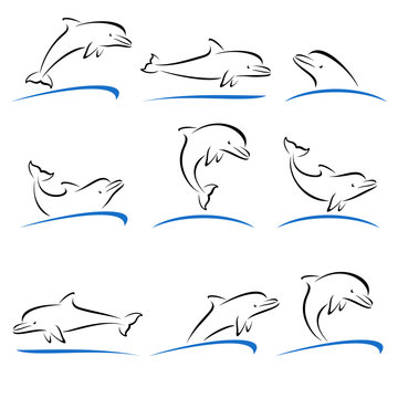 Dolphins set. Vector