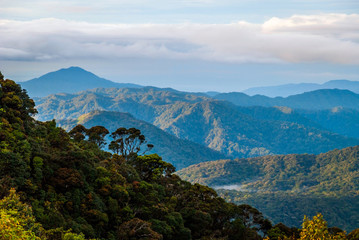 Sunrise over jungle in cameron highlands, Malaysia