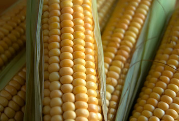 corn
