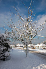 Winter scene in East Grinstead