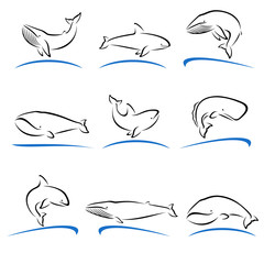 Whale set. Vector