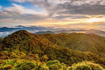 Sunrise over jungle in cameron highlands, Malaysia