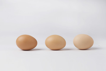 eggs isolated