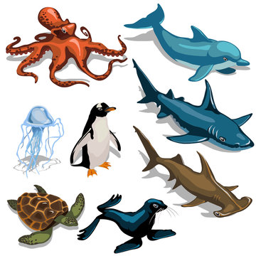 Fish, Dolphin, seal and other members of deep sea