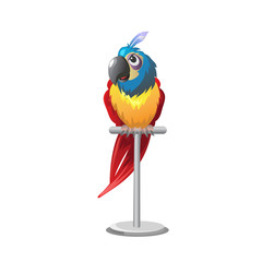 Tropical colorful parrot sitting on perch 