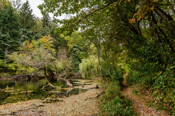 Autumn park
