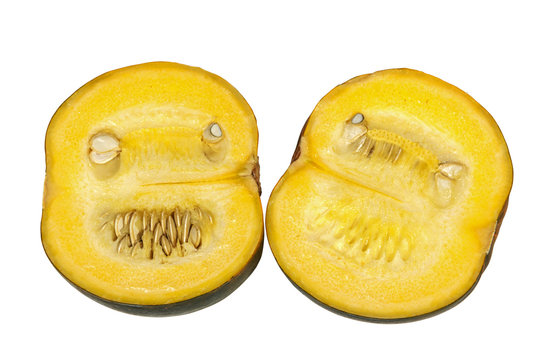 Two  Freshly Cut Hhalves of Gem Squash