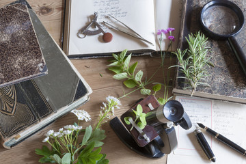 Stillleben Forscherdrang