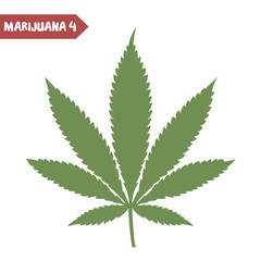 Marijuana leaf isolated