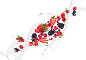 Fruit, berry mix in milk splash, isolated on white background