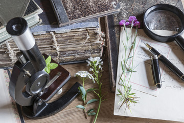 Stillleben Forscherdrang