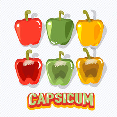 capsicum fruit - vector