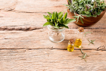 Herbs on wooden background. Mint, thyme, balm and other medicinal herbs