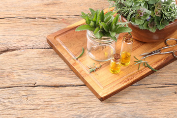 Herbs on wooden background. Mint, thyme, balm and other medicinal herbs