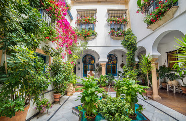 Fototapeta na wymiar Wide view of a beautiful patio garden decorated with flowers, in Cordoba - Spain