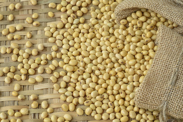 Soy bean
