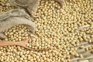 Fototapeta premium Soy bean