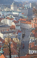 Fototapeta na wymiar cityscape of Ljubljana, view from the Castle hill