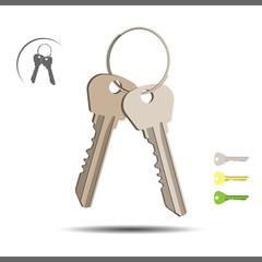 Bunch of keys isolated over white background. Vector illustration 10 EPS