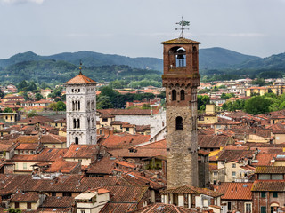 Fototapeta na wymiar Terracotta rooftops in medieval Lucca,