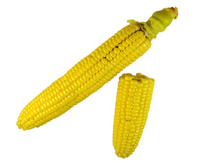 Fresh raw corn