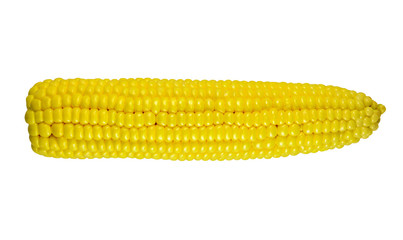 Fresh raw corn