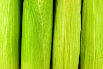 Fresh raw corn