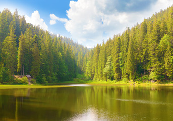 Fototapeta na wymiar Mountain landscape in the forest near the lake