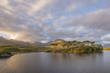 Pine Island Derryclare Lough Connemara/ Pine Island/ Ireland