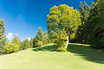 Hiking tour towards Garmisch