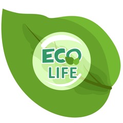 the eco life
