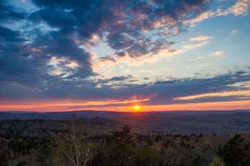 Obraz premium sunset over the spring forest