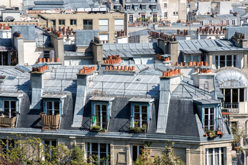 paris roofs and building cityview