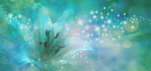 Fototapeta na wymiar Sparkling Lilly Banner - beautiful lily with glitter and sparkles radiating outwards from the center on a jade green and blue bokeh background with copy space