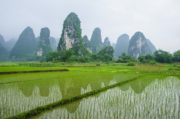 The beautiful karst mountains and rural scenery in spring
