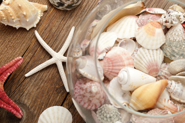 Vacanze e stelle marine #5