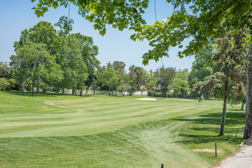 Golf course landscape