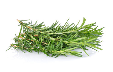 rosemary isolated on white background