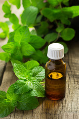 Essential oil of peppermint in a small bottle with fresh mint, s