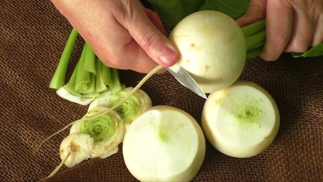 Tasty fresh crude white round japanese radish with green stems and leaves
