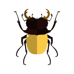 Vector illustration of a stag beetle.