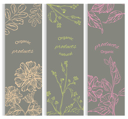 Set floral, flowering decorative brochures