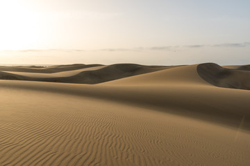 Fototapeta na wymiar Sahara desert - beautiful landscape with sand dunes