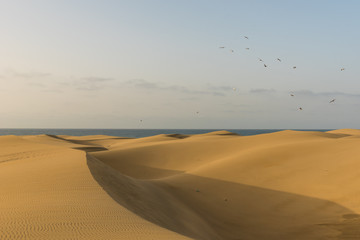 Sahara desert - beautiful landscape with sand dunes