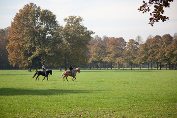 Horse riding in Parco di Monza Italy