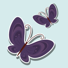 beautiful butterfly design 