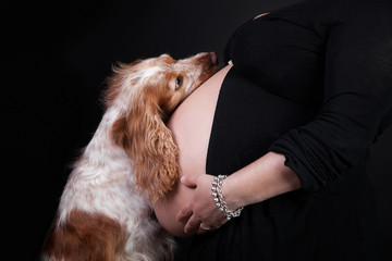 donna incinta con il suo cane
